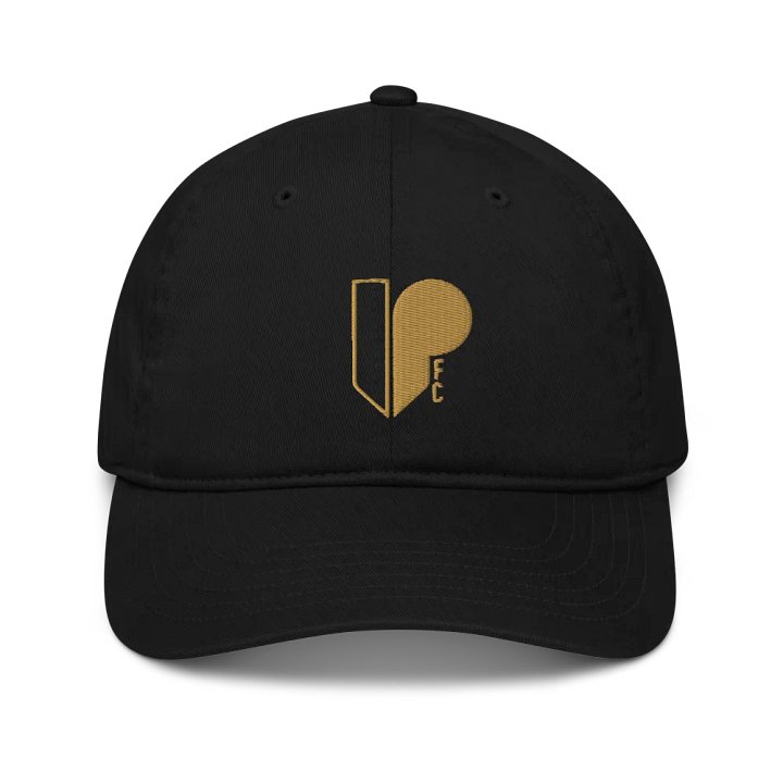 Team Hat product image (1)