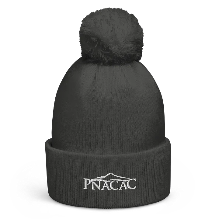 Puff Beanie (Embroidered) product image (3)