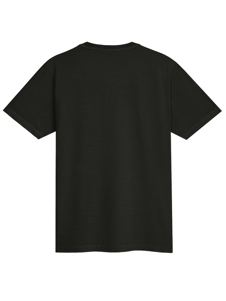 PARALYZED & PARANORMAL TEE product image (2)