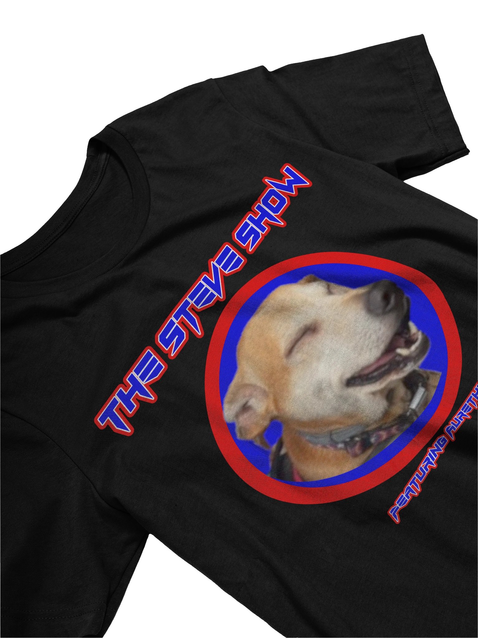 The Steve Show T-Shirt product image (11)