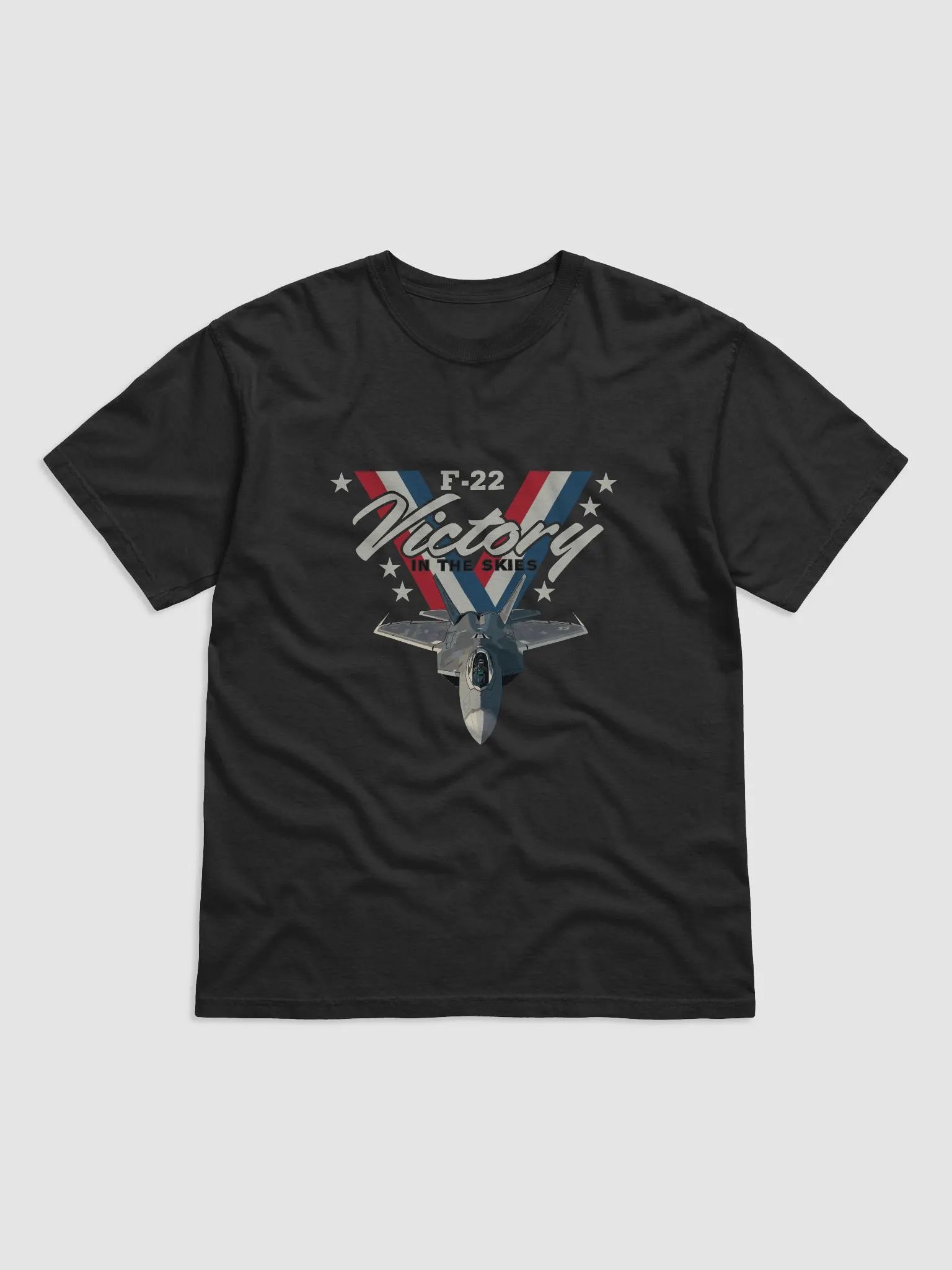 Victory in the Skies F-22 Raptor product image (1)