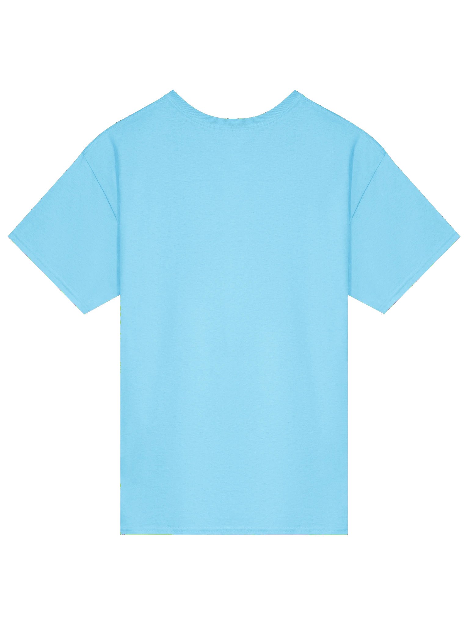 The World's Best Unisex T-Shirt! product image (2)