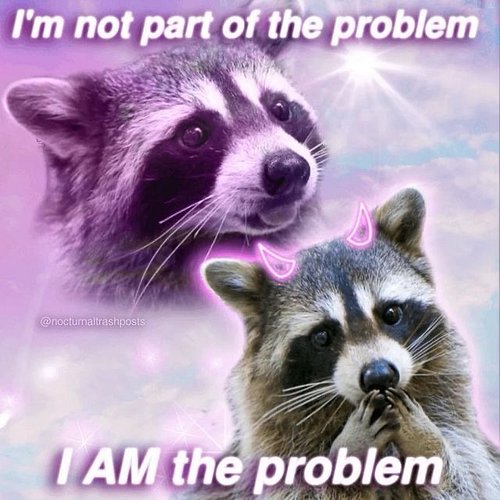 Plot twist: I was the problem the whole time. 🦝😂

Who’s the little troublemaker in your friend group? 👀 
#raccoon