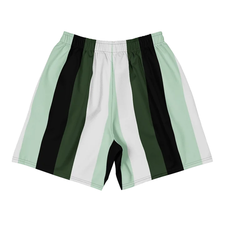 HIM Vintage Style Swim Shorts Green product image (2)