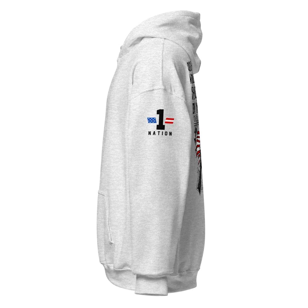 Forefathers Would Be Shooting By Now: Light Hoodie product image (2)