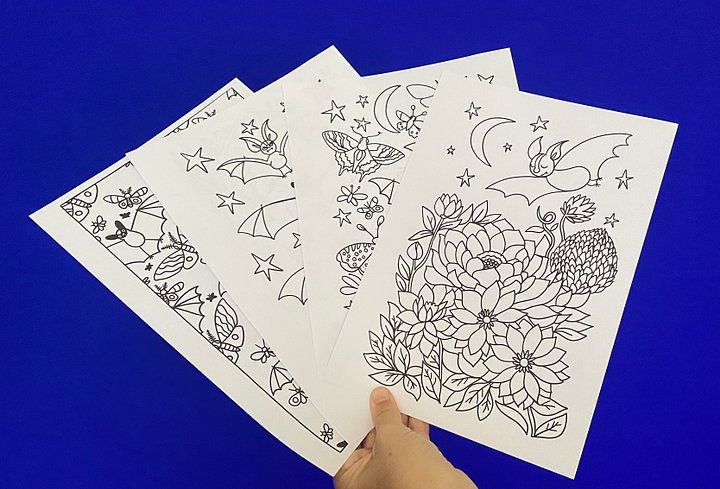 coloriage de la nuit product image (2)