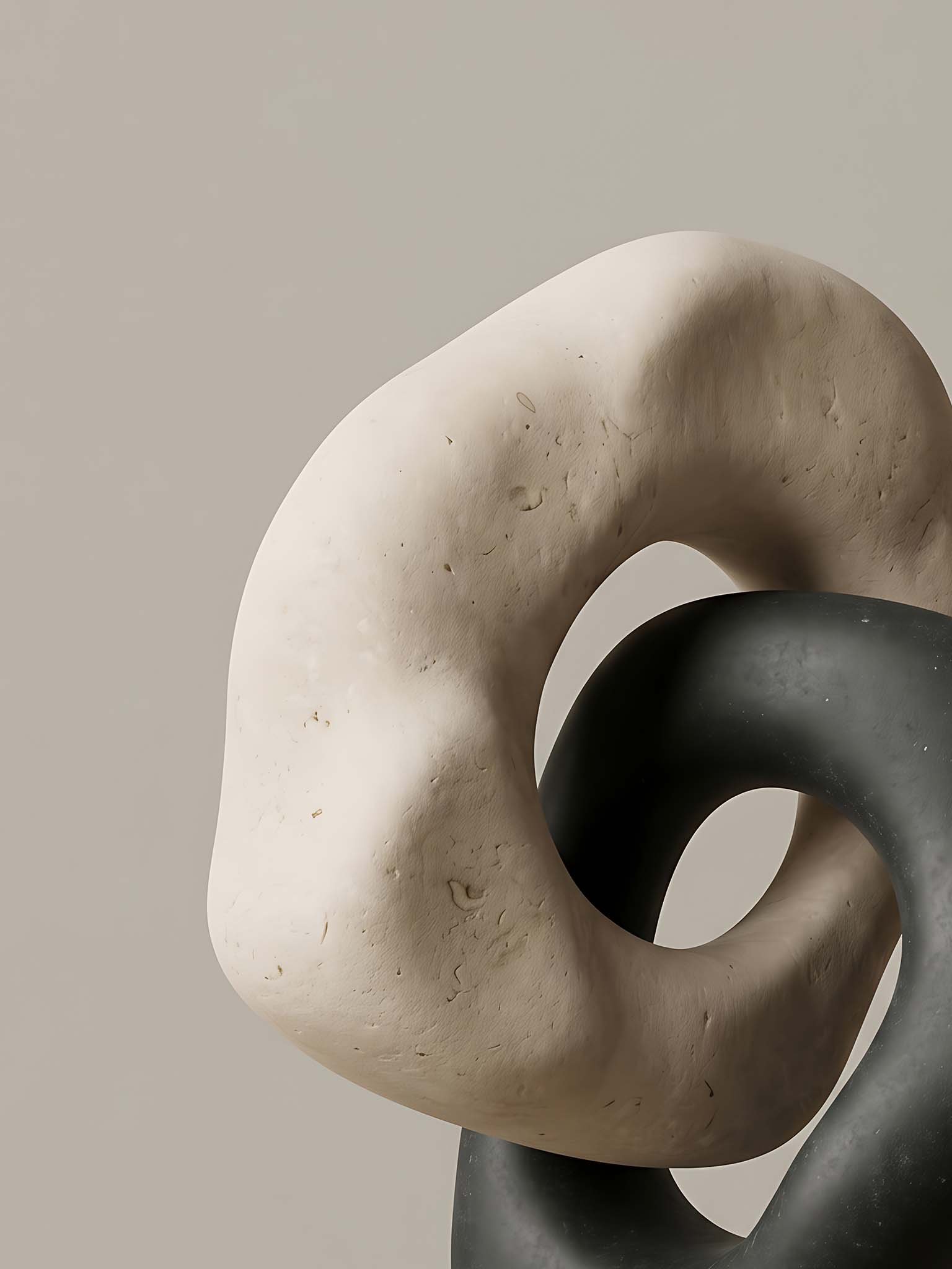 Tension Loop - Abstract Organic Sculptural Wall Art product image (87)
