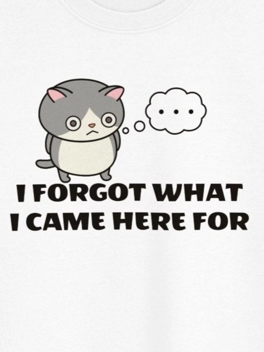 Short-term Memory Loss 1 - Unisex Youth Sweatshirt product image (1)