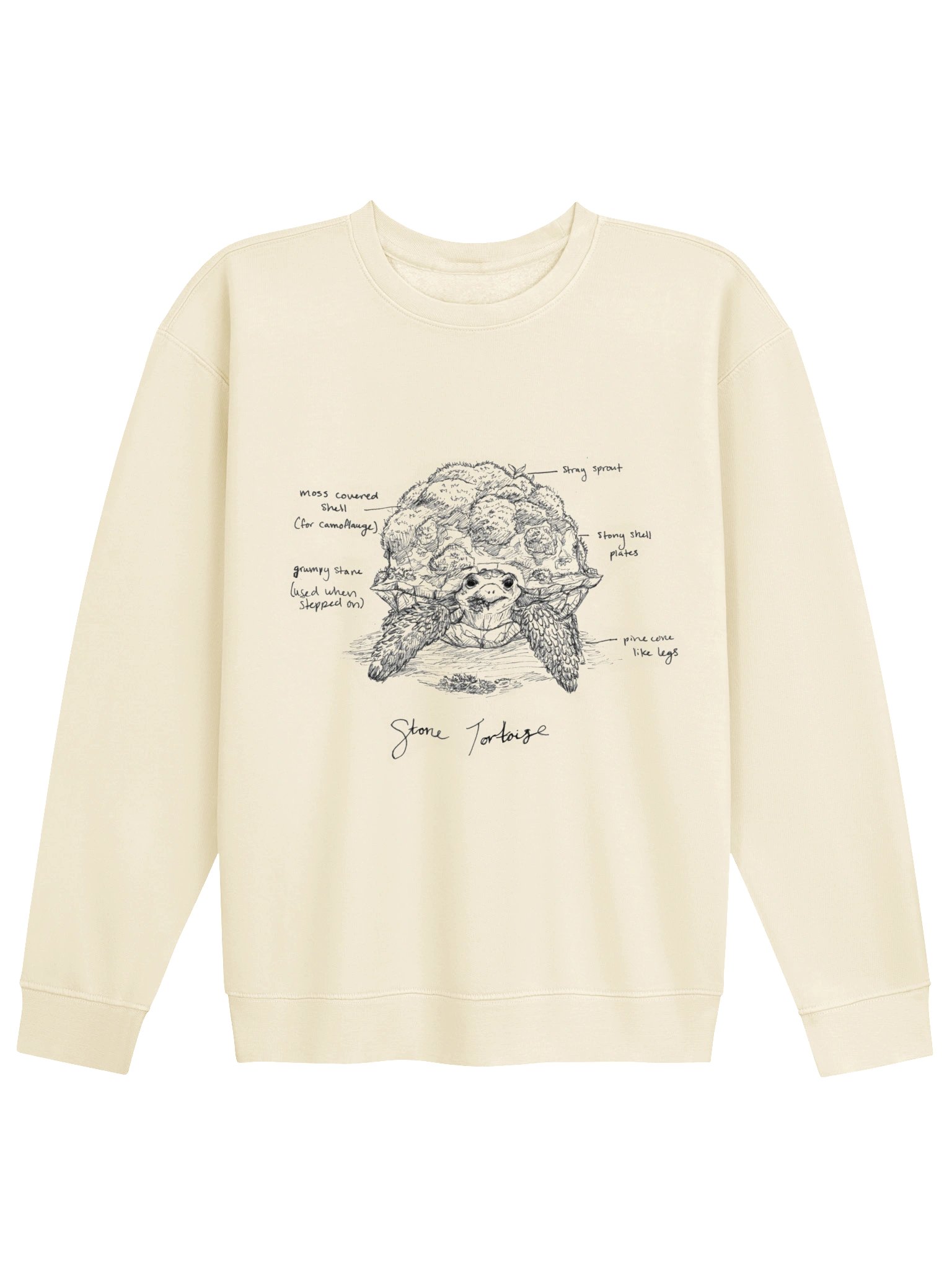 Stone Tortoise Creweck product image (1)
