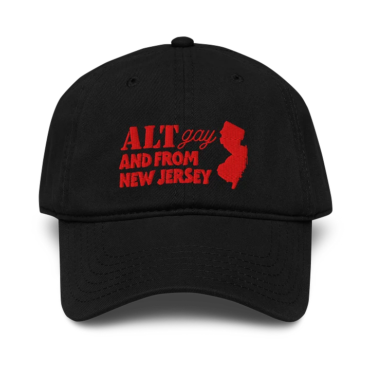 ALT, GAY AND FROM NJ DAD HAT product image (1)