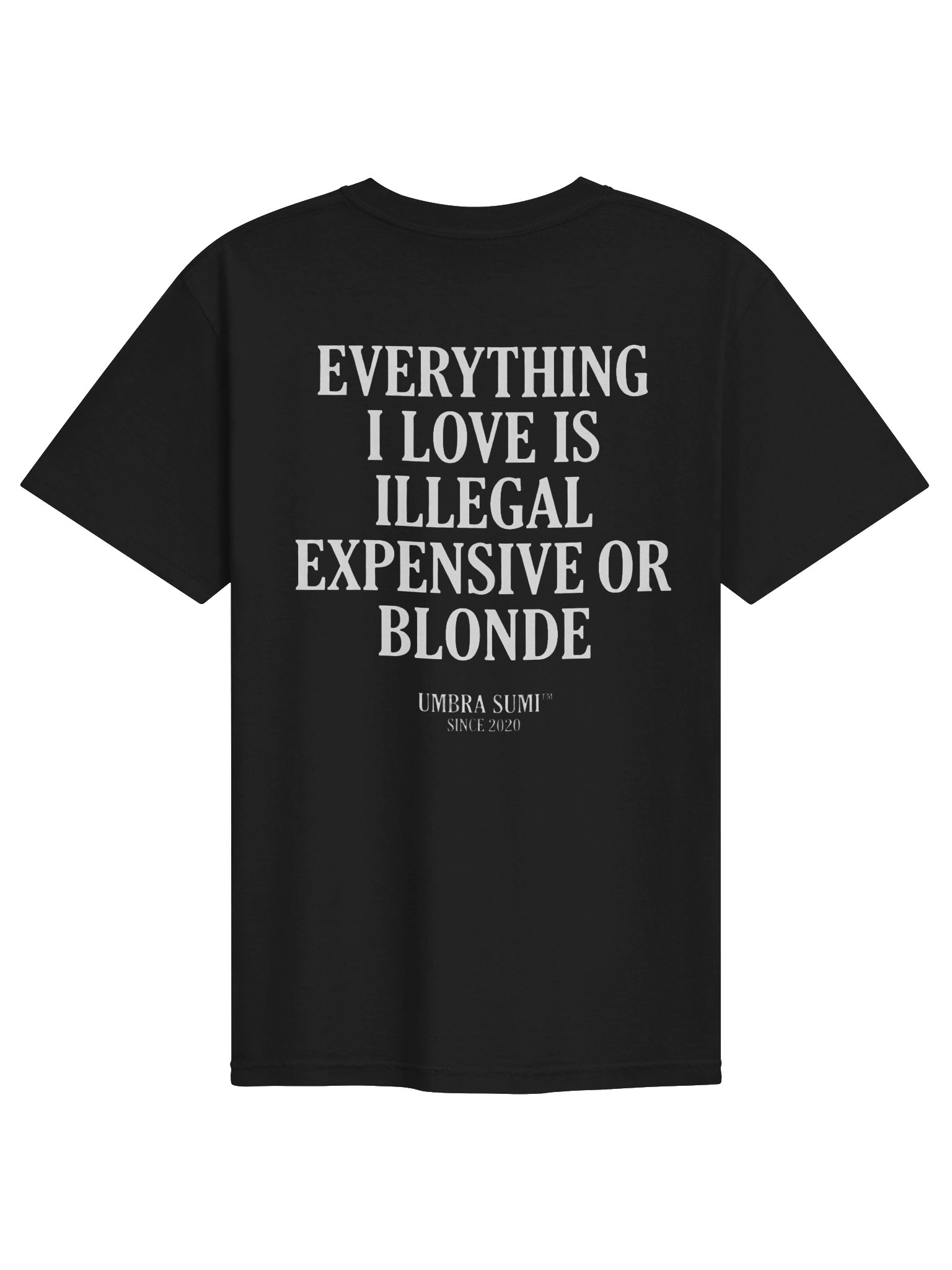 Everything I Love Is Illegal Expensive Or Blonde Funny T-Shirt product image (1)
