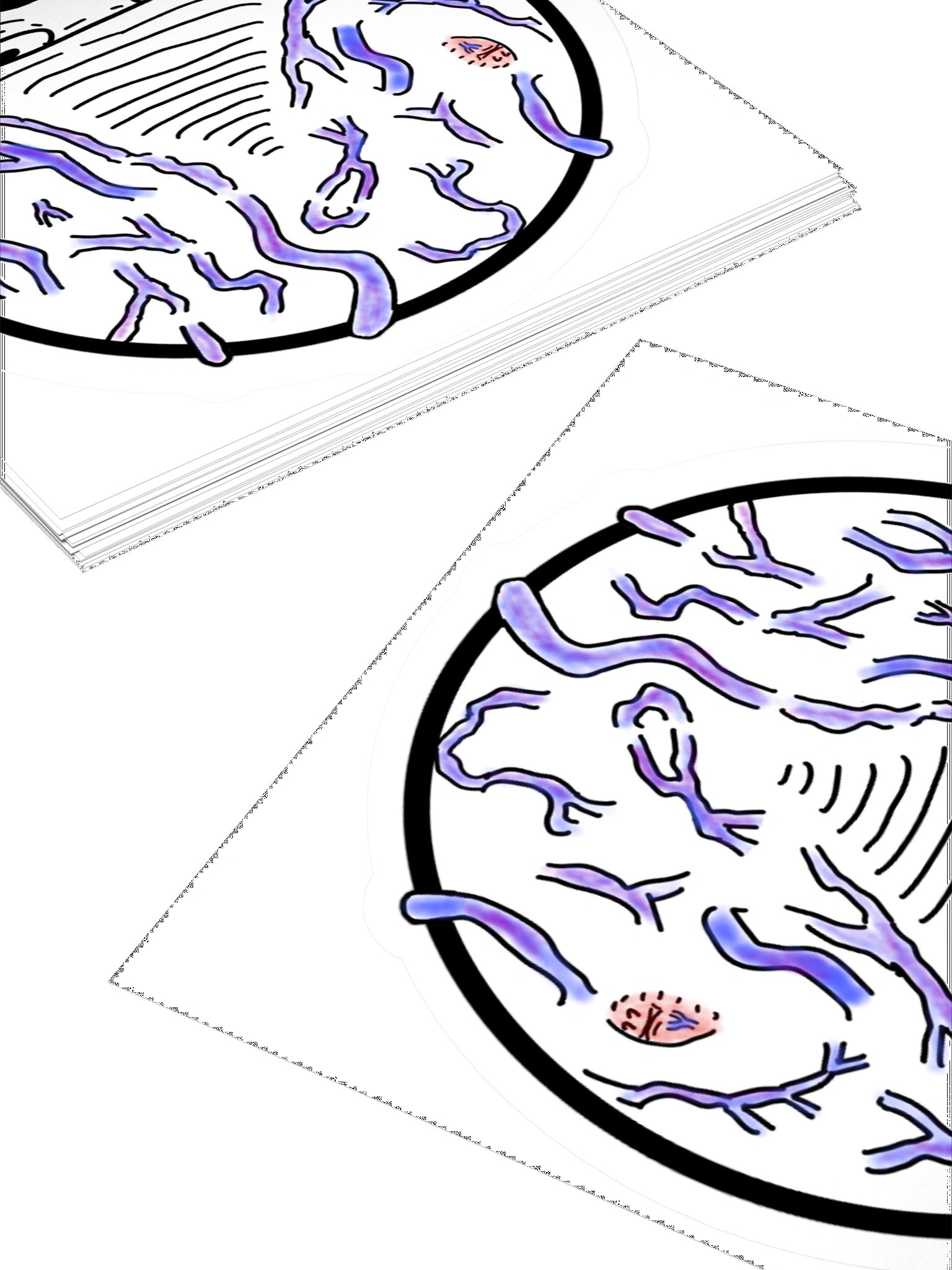 Big Brain VINNO Sticker product image (4)