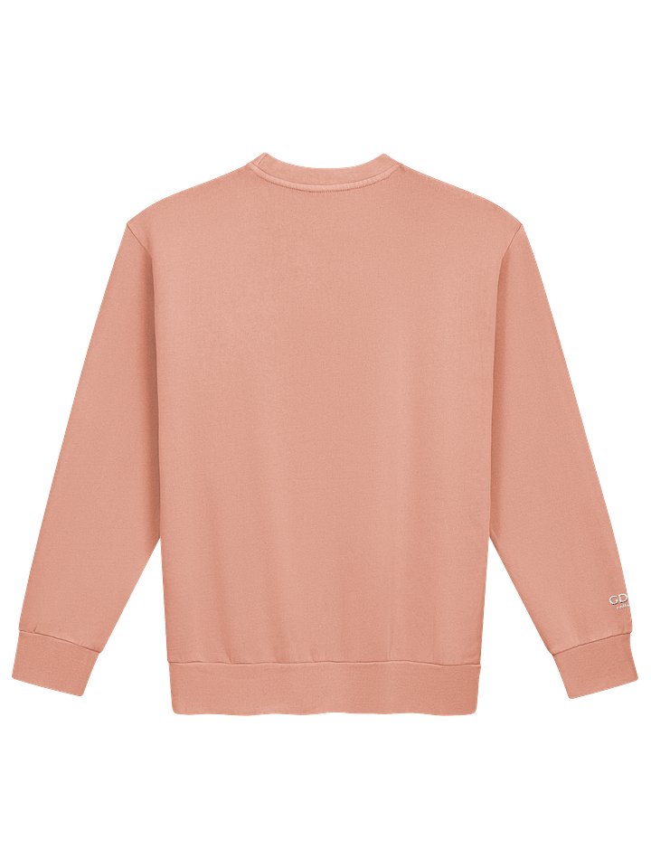 GDNB ARCH SWEATER product image (14)