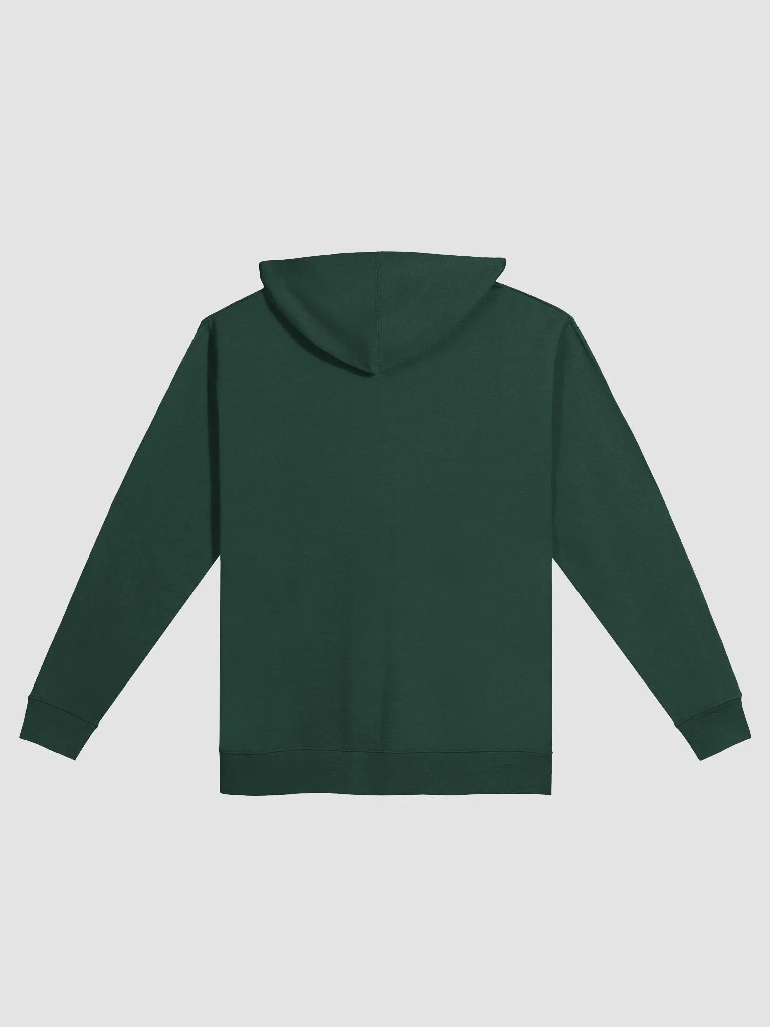 DP DEBUNKS HOODIE product image (2)