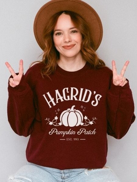 Magical Pumpkin Patch Minimalist Cozy Sweatshirt for Halloween product image (7)