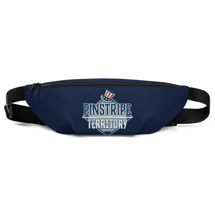 Fanny Pack product image (1)