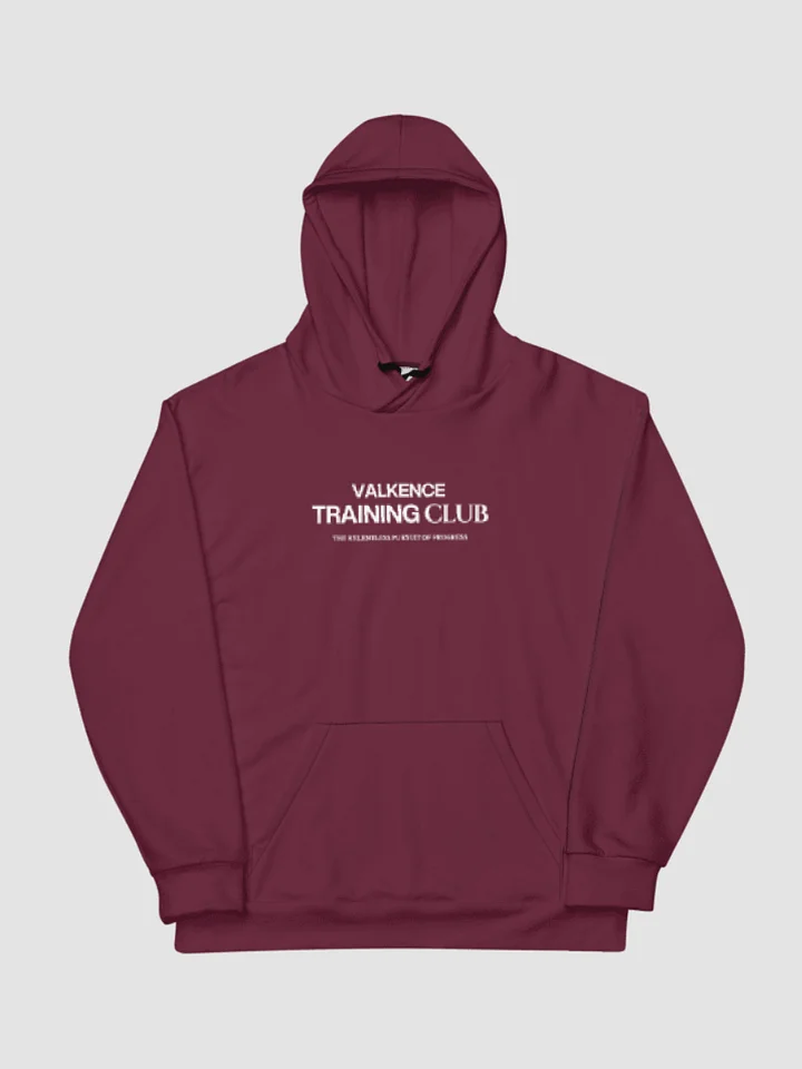 Training Club Hoodie - Plum product image (2)
