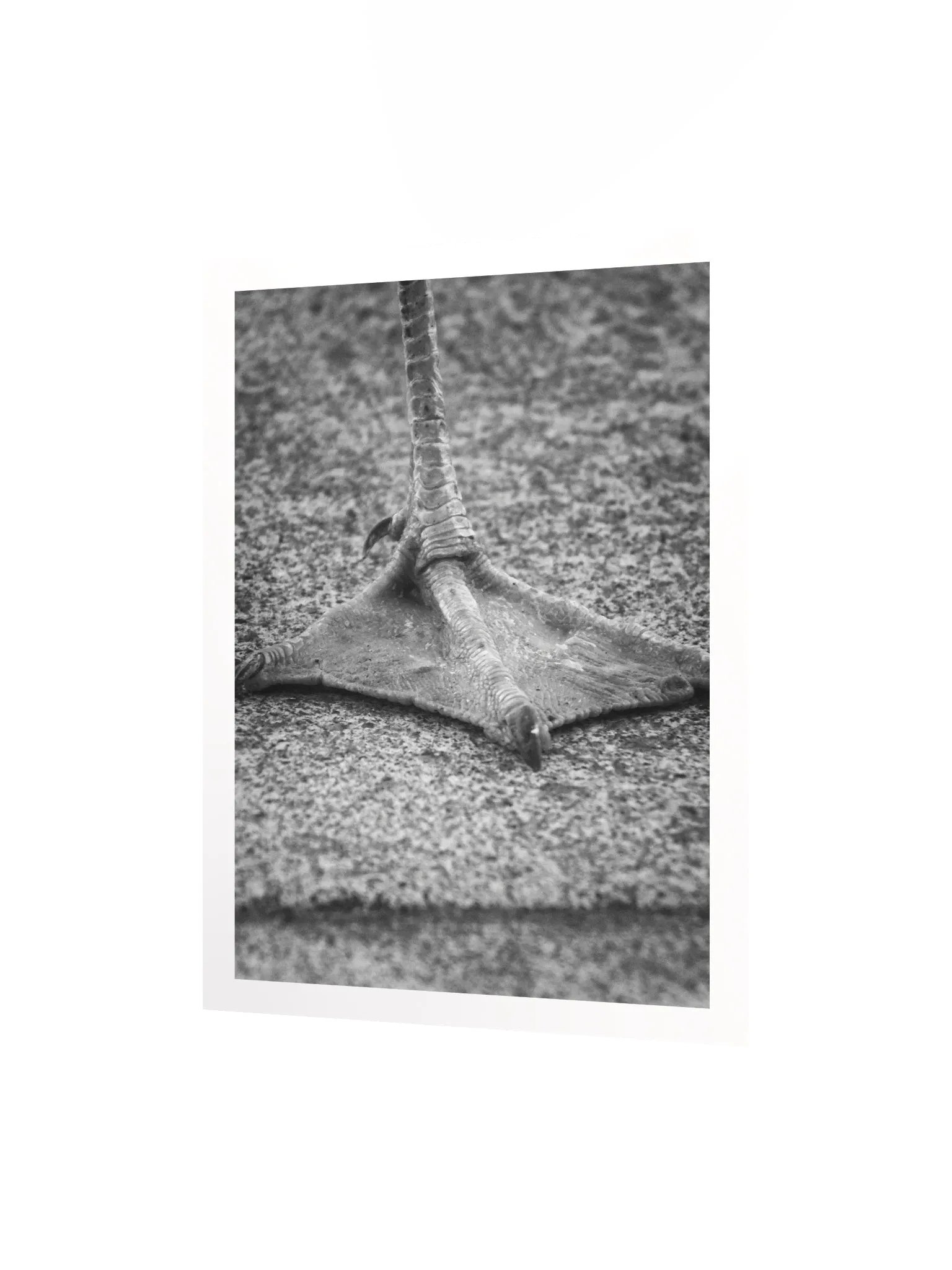 Artistic Print product image (2)