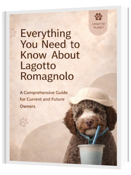Everything You Need to Know About Lagotto Romagnolo product image (1)