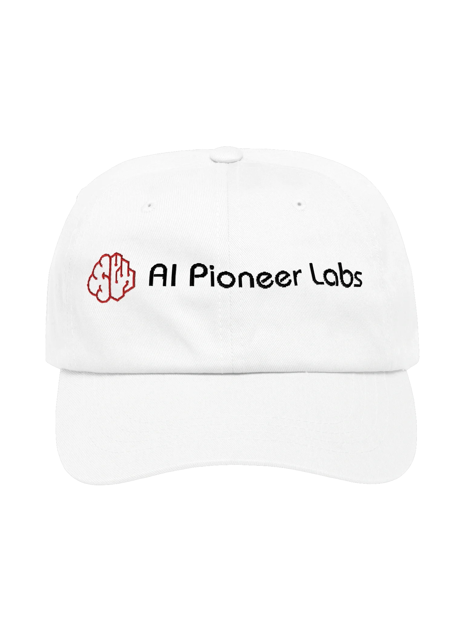 AI Pioneer Labs Cap