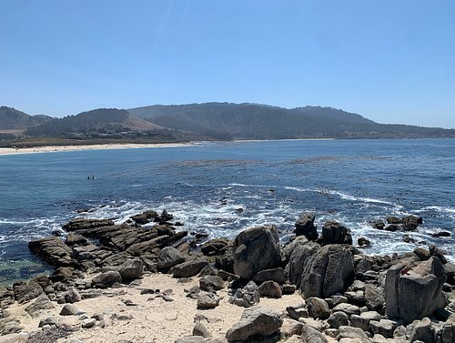 Heading home today, so here’s a photo dump from an e-bike tour I took yesterday! Carmel & Carmel by the Sea are so beautiful....