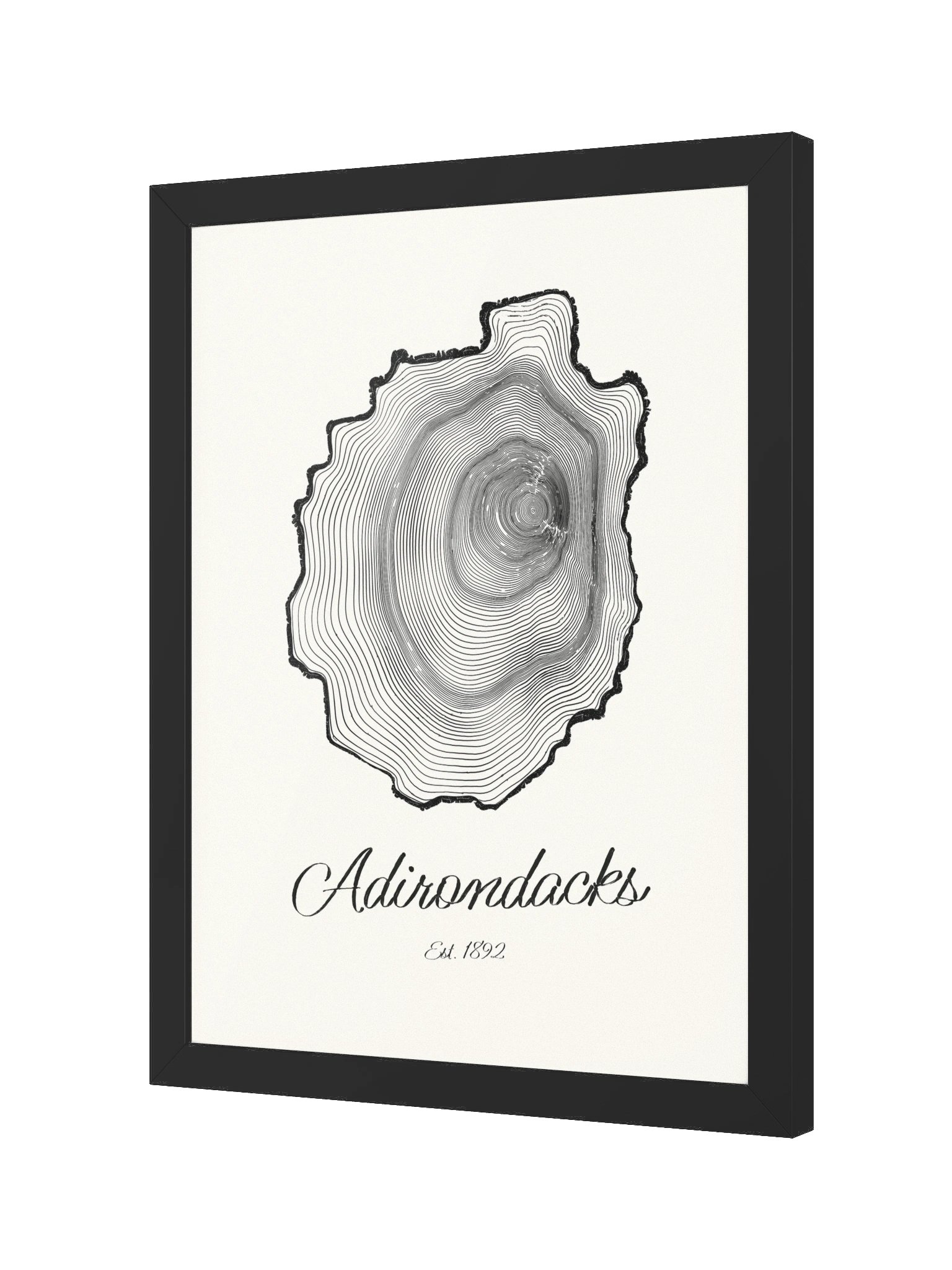Adirondack Park Tree Ring Framed Print product image (8)
