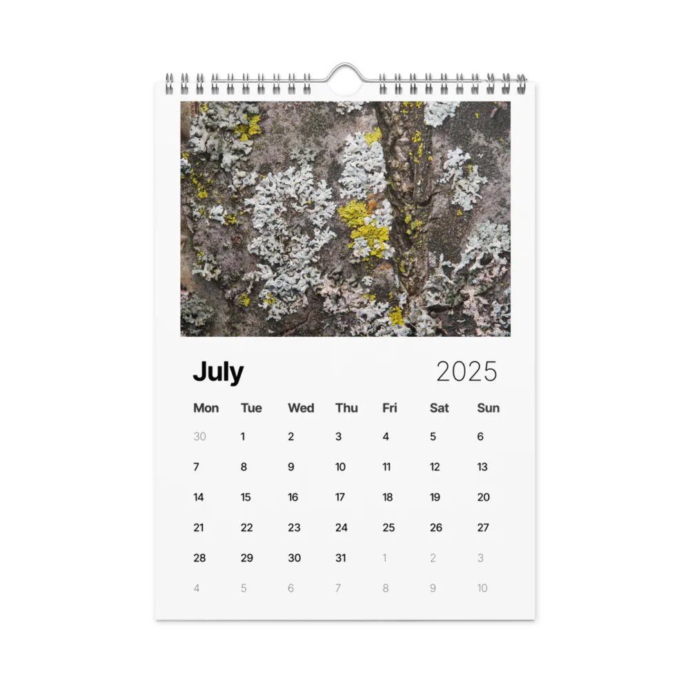 Likin' Lichen 2025 Wall Calendar product image (8)