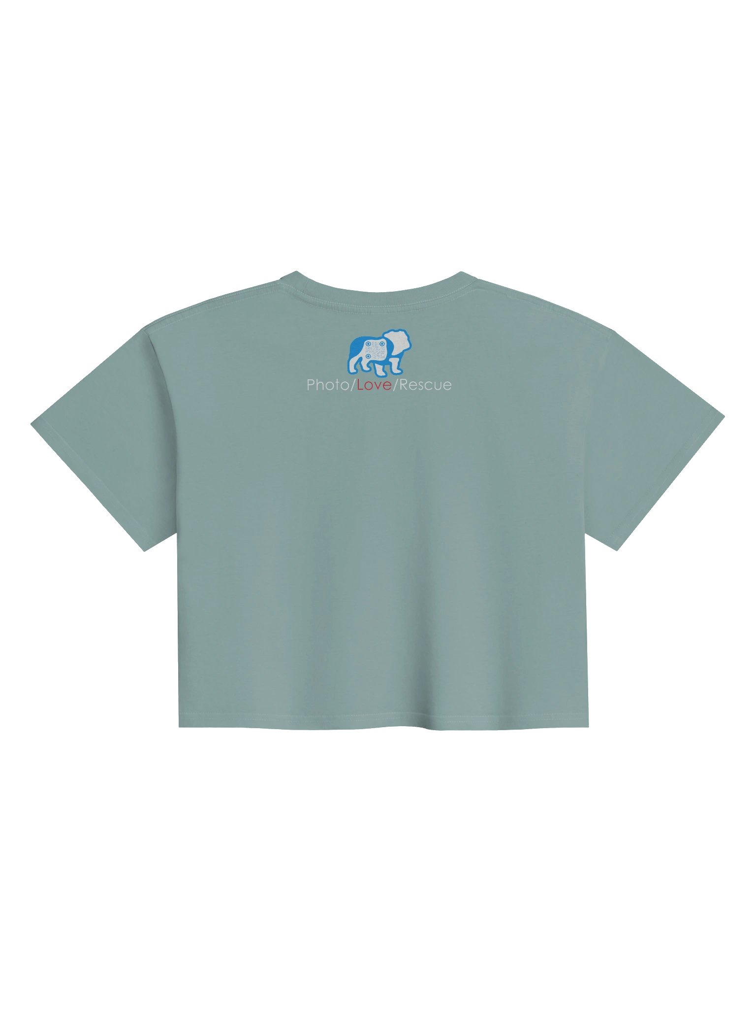 Fluent in Dog product image (4)