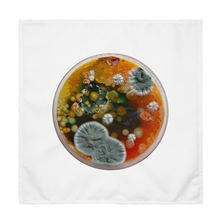 Group of 4 product image (1)