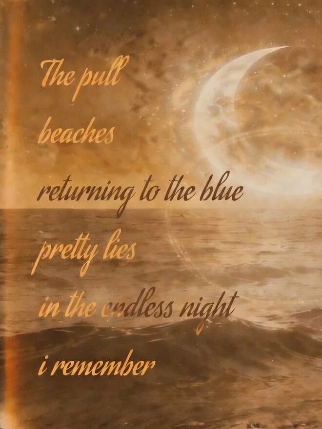The Fossils (Where Giants Roam B-Side) product image (2)