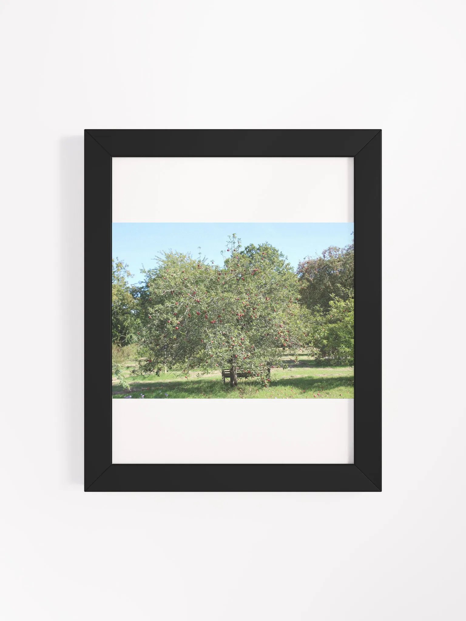 Sunny Orchard Framed Matte Poster product image (16)