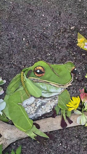 Painting with the colors of nature 🌿 #natureart #satisfyingart #ephemeralart #artinnature #wildlifeartist