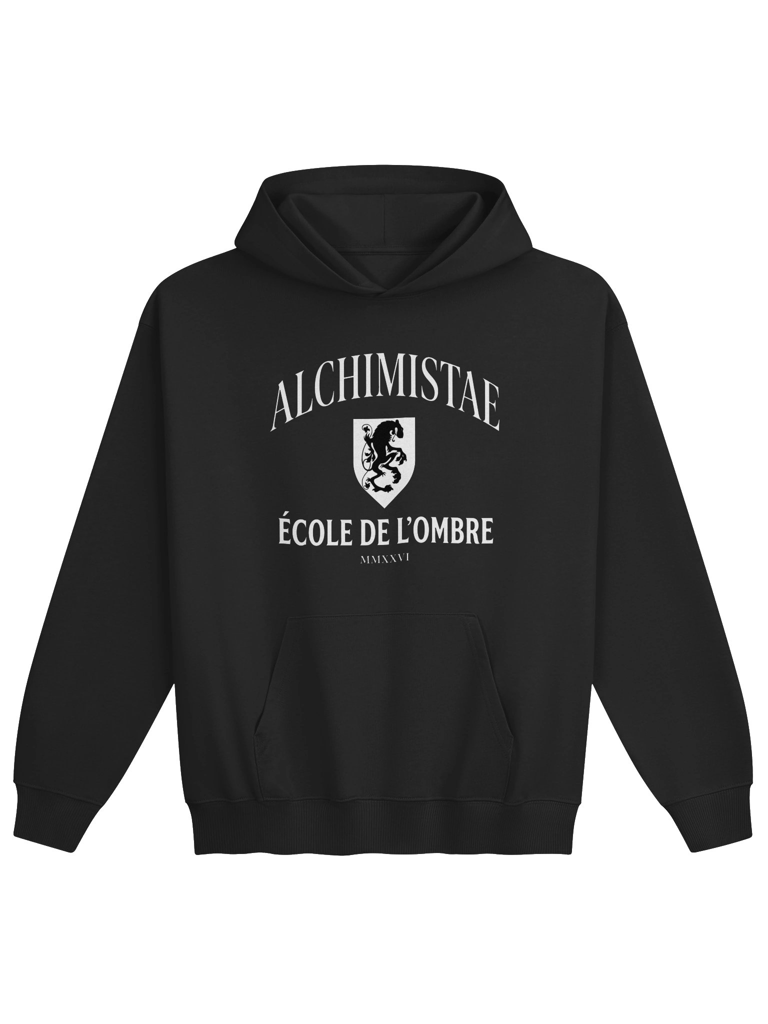Hoodie mixte oversize Coton Bio Poids Lourd – ÉCOLE DE L'OMBRE product image (1)