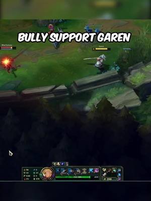 bully support garen