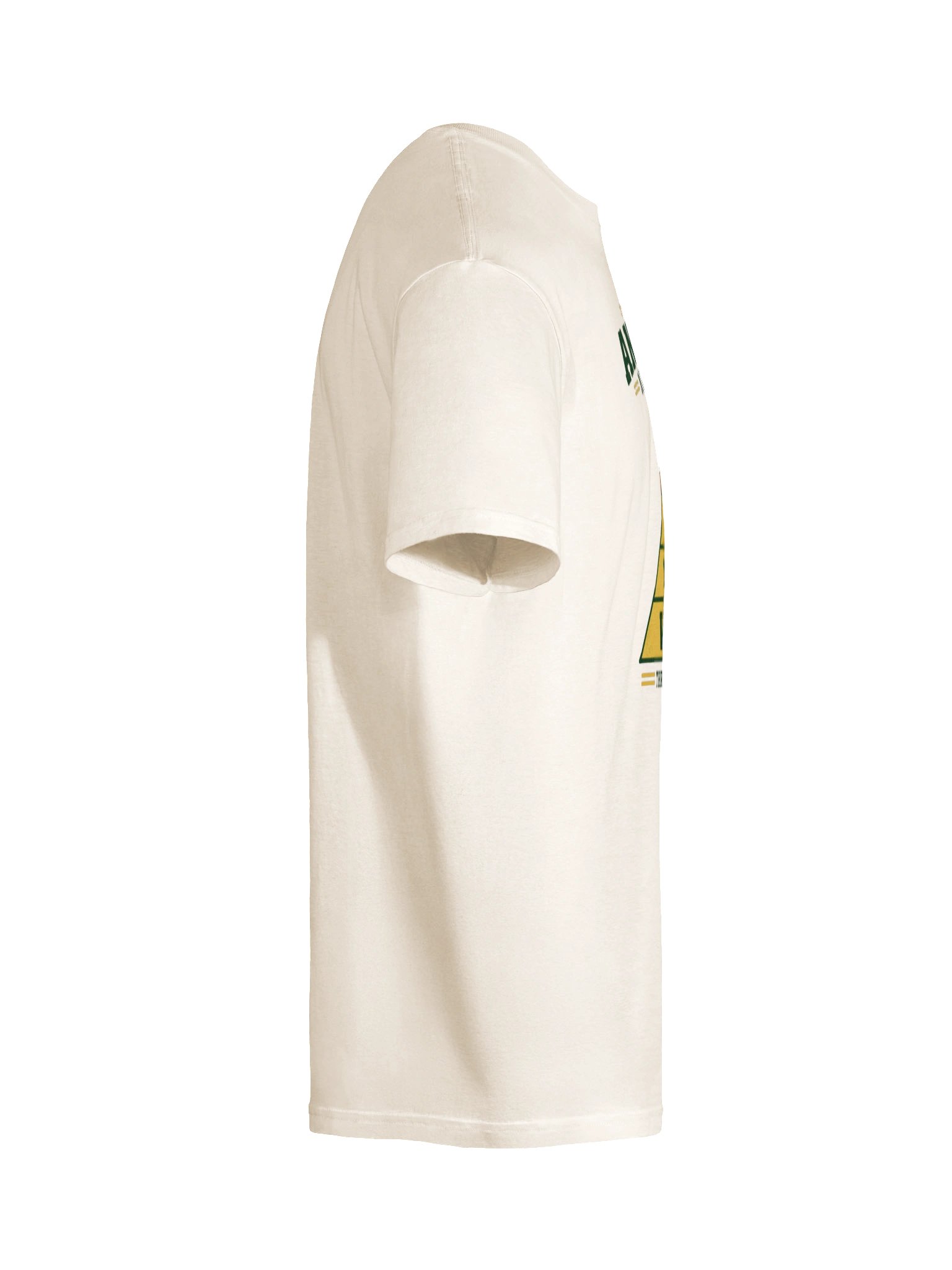 The Fishing Pyramid T-Shirt product image (10)