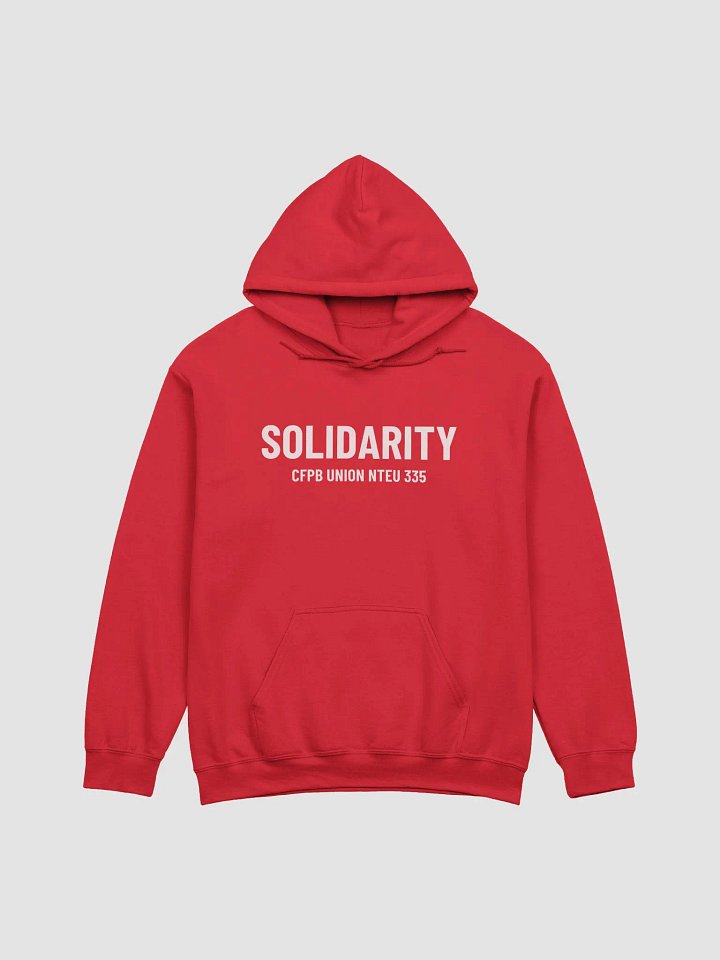 Solidarity CFPB Union Hoodie product image (1)