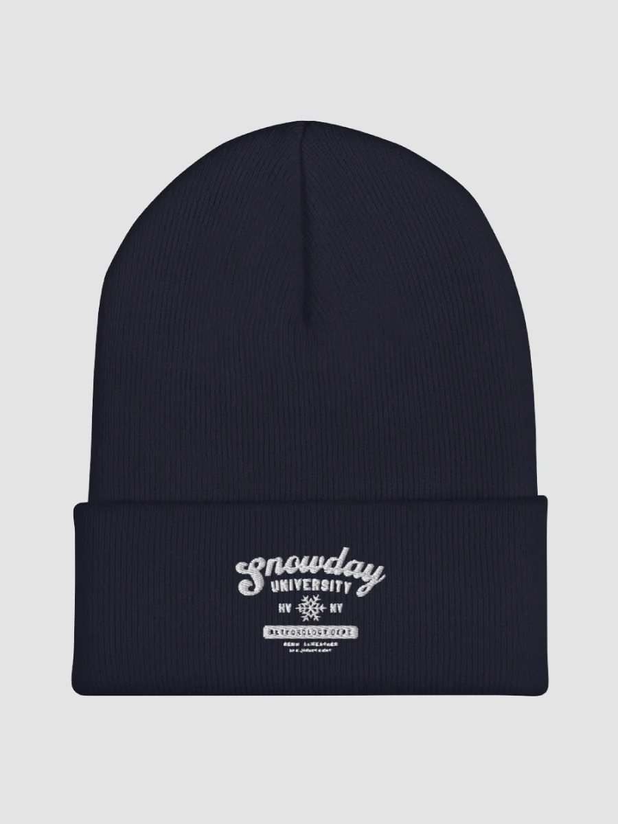 Snowday University beanie product image (1)