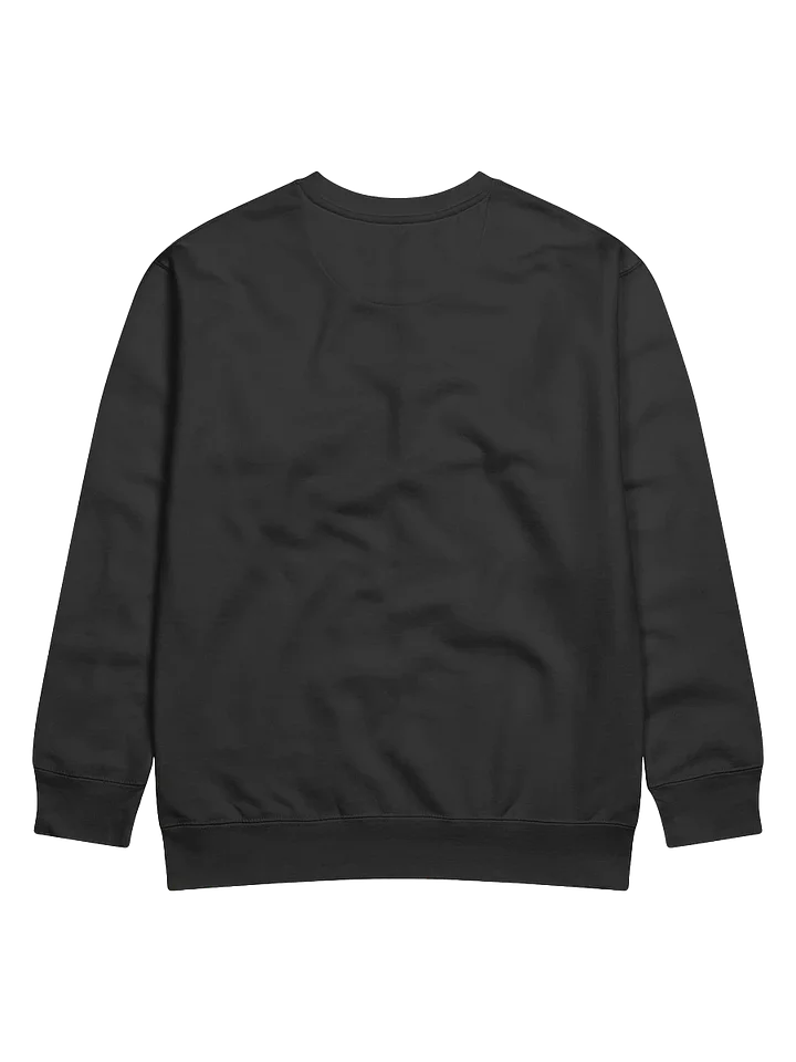 We Are Not Going Back Kamala Harris Campaign Supporter and Election Day Sweatshirt product image (2)