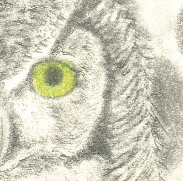 “Wise Eyes” Print product image (2)