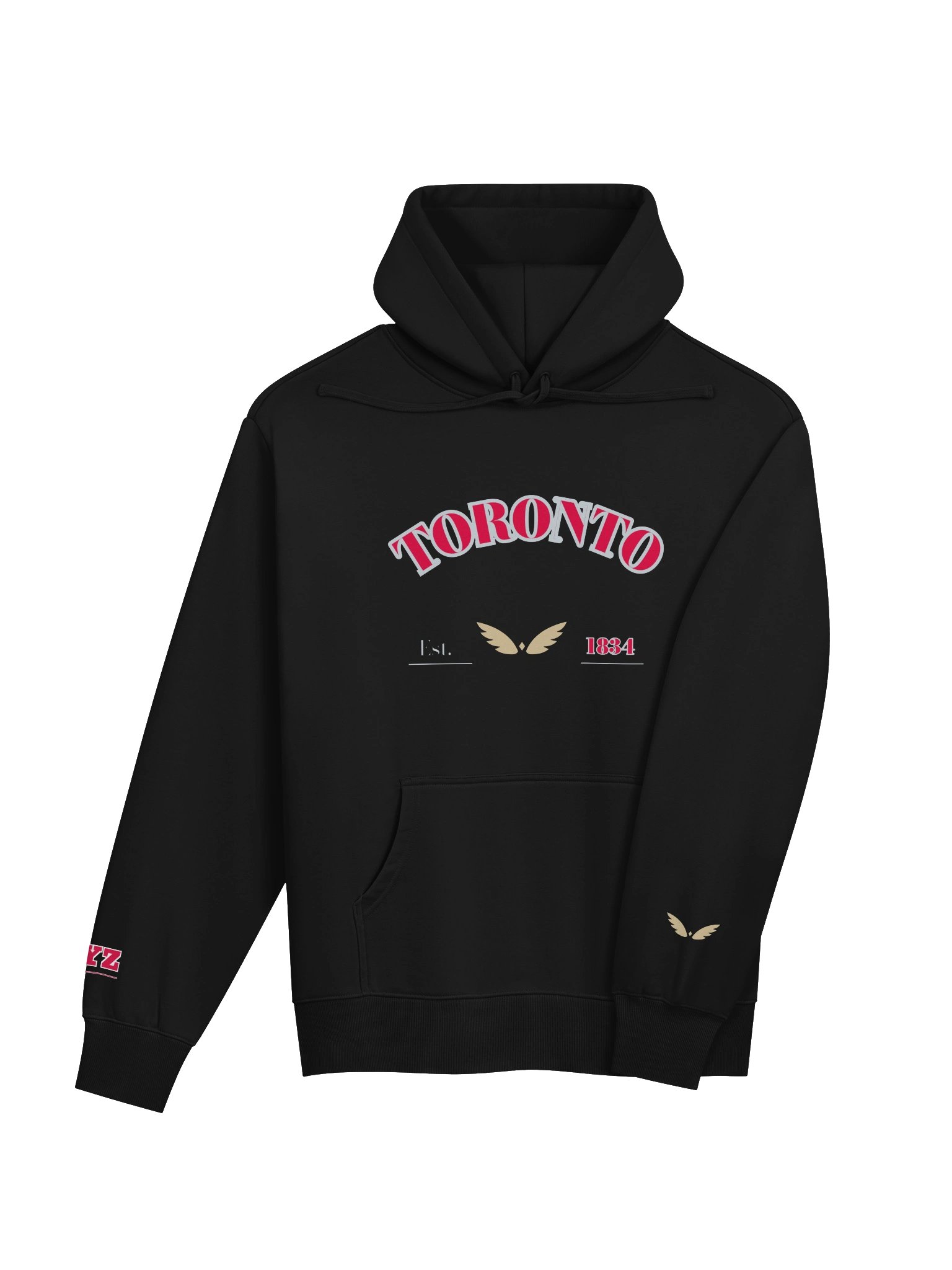 GAME DAY — Toronto · Hoodie · Black product image (4)