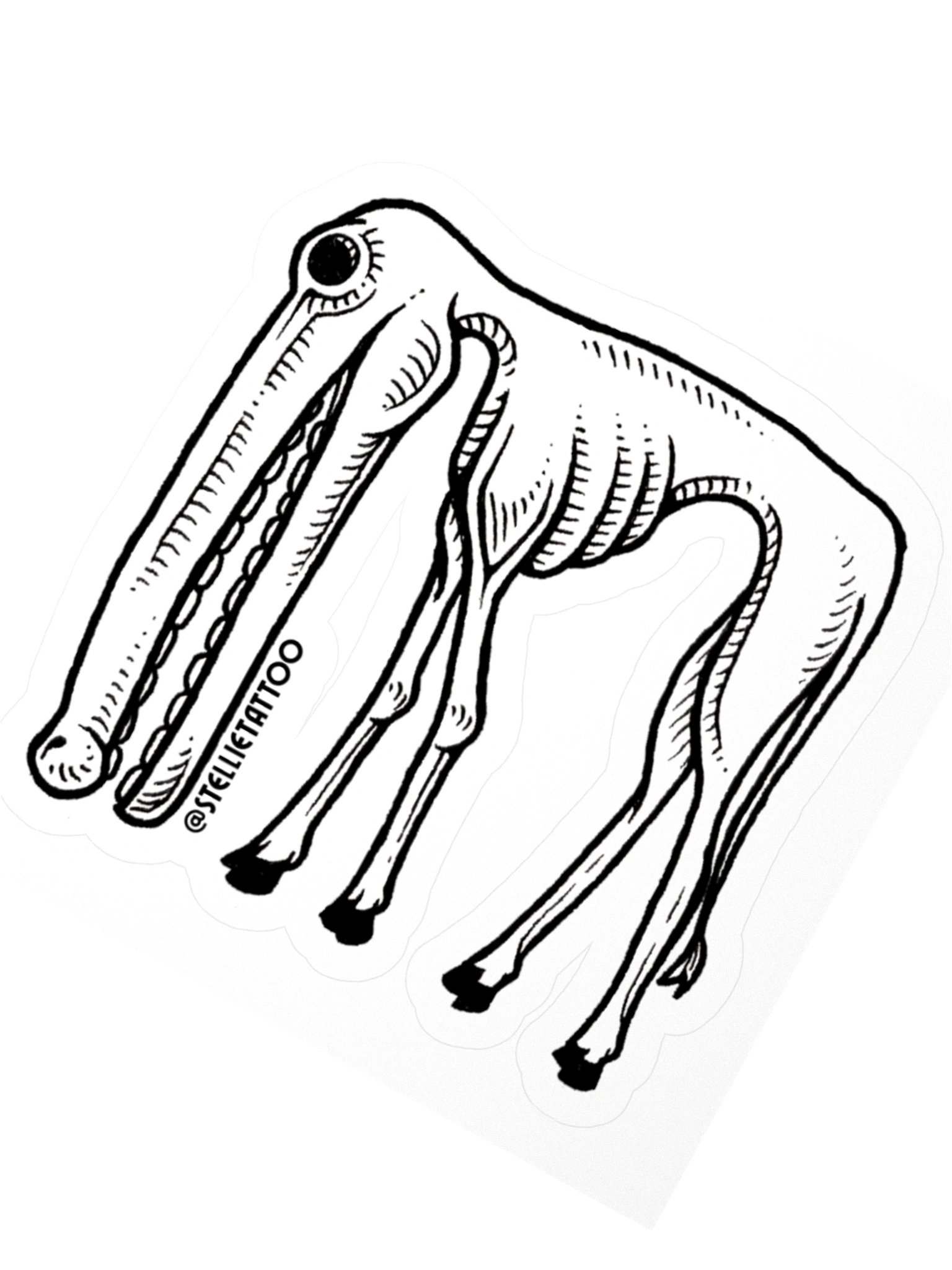 Specimen No. 3 - Longface product image (4)