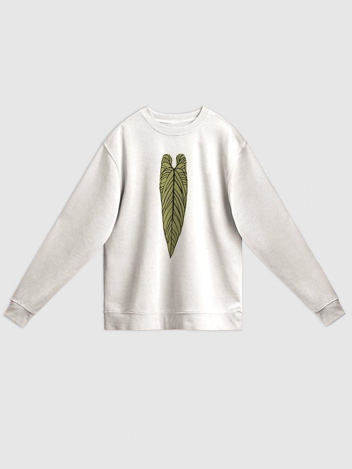 ANTHURIUM WAROCQUEANUM - Midweight Pigment Dyed Sweatshirt product image (1)