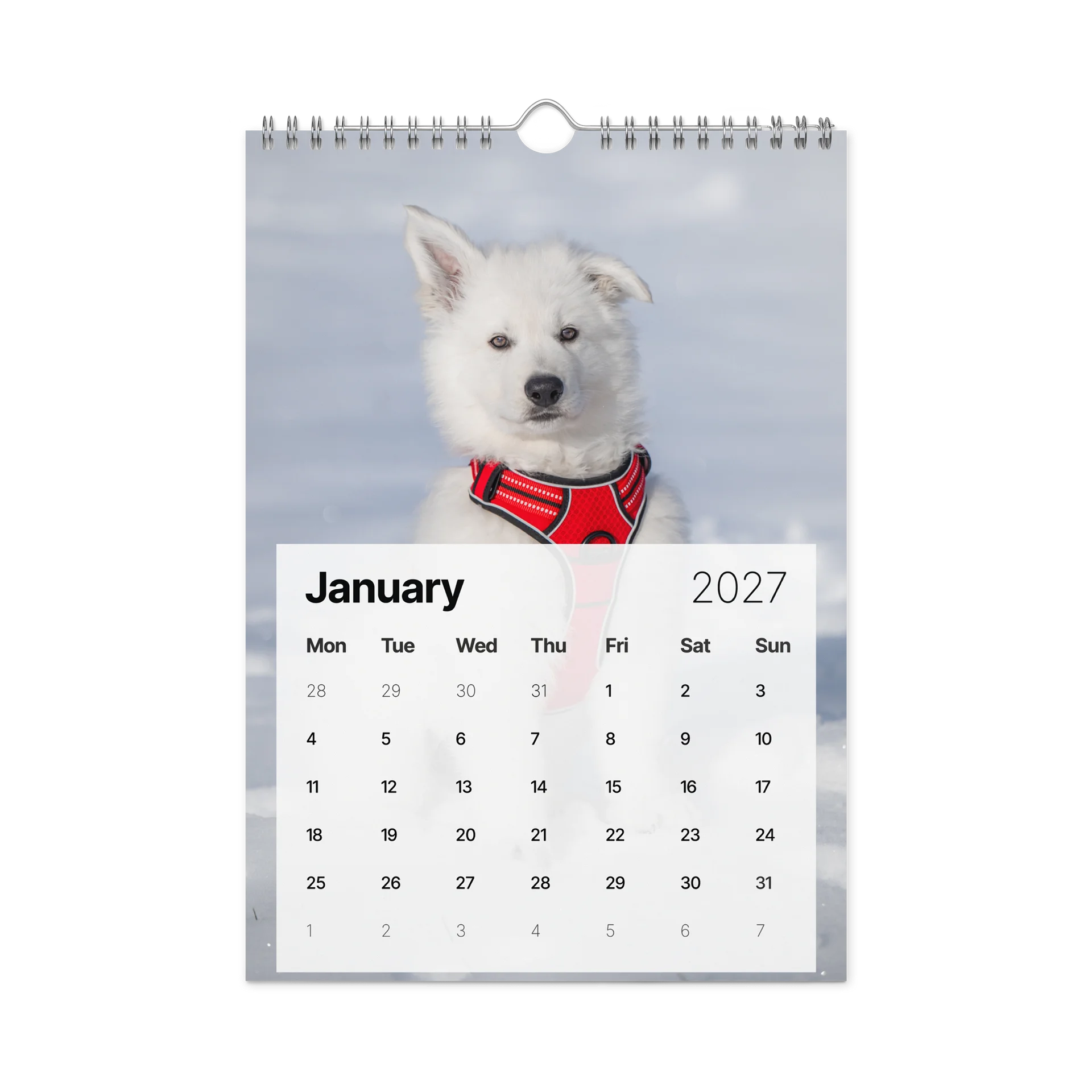 Lil Rasta Calendar 2027 product image (6)