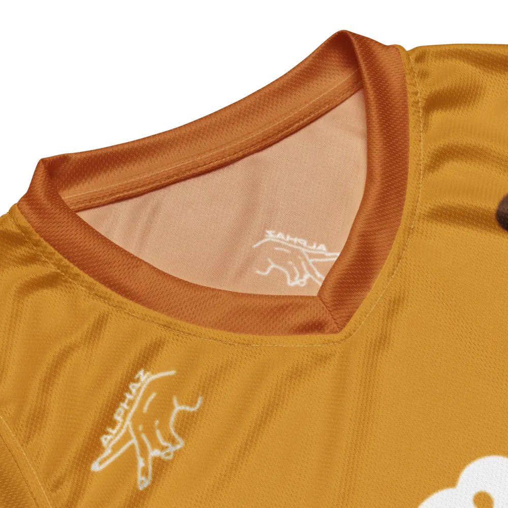 JURIA JERSEY (ORANGE) product image (8)
