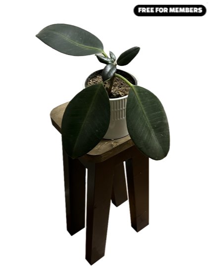 [Build Plans] Two Plant Stands From Three 2x4s product image (1)