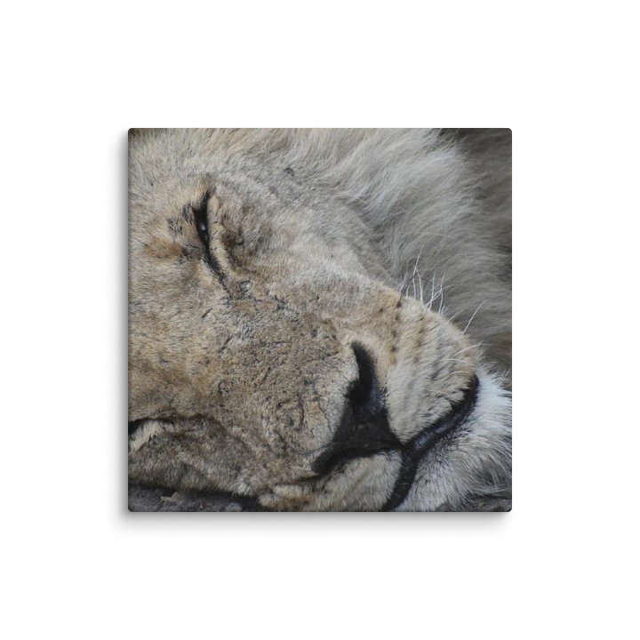 The Lion (Canvas Print) product image (1)