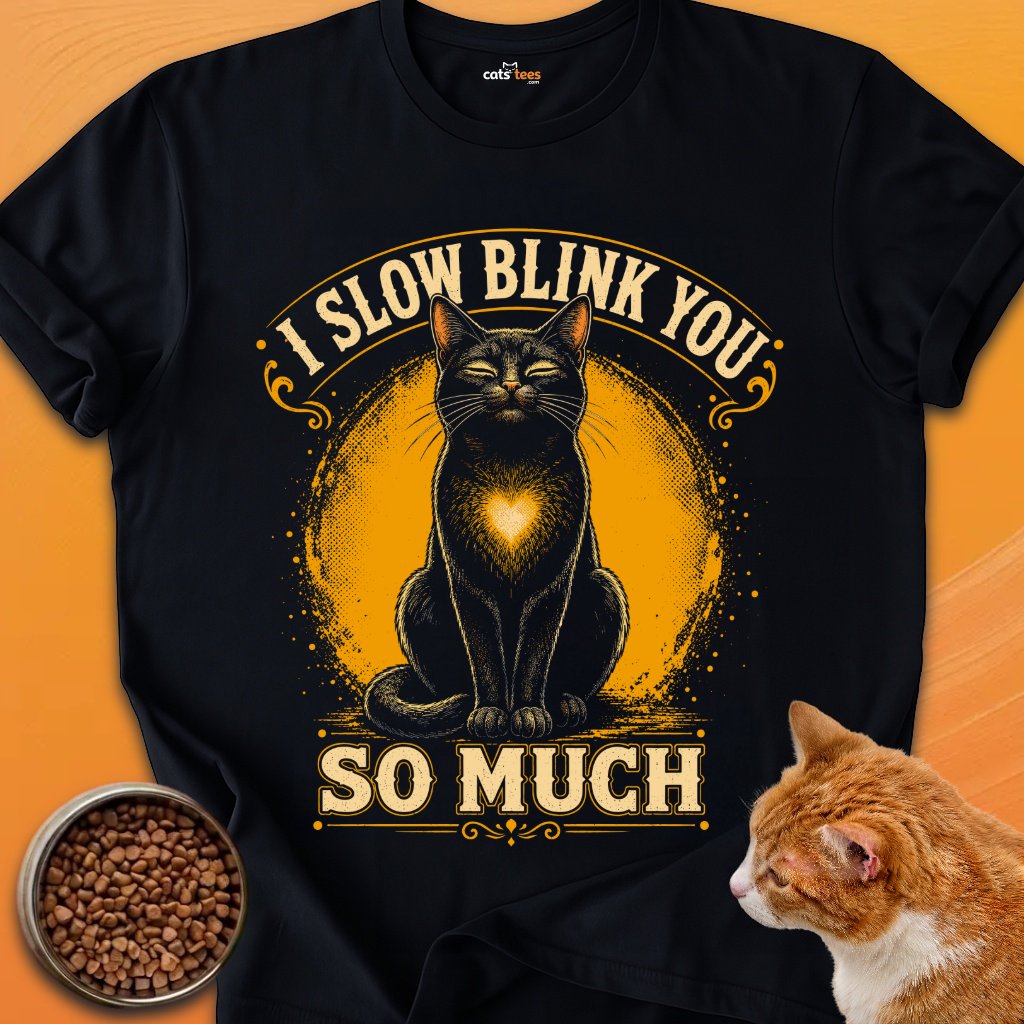 I Slow Blink You product image (1)