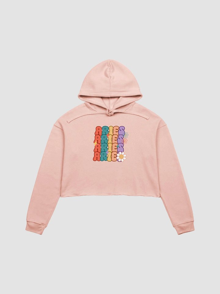 Aries Groovy Cropped Hoodie product image (1)