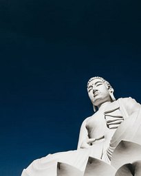 Snake Person Member Request