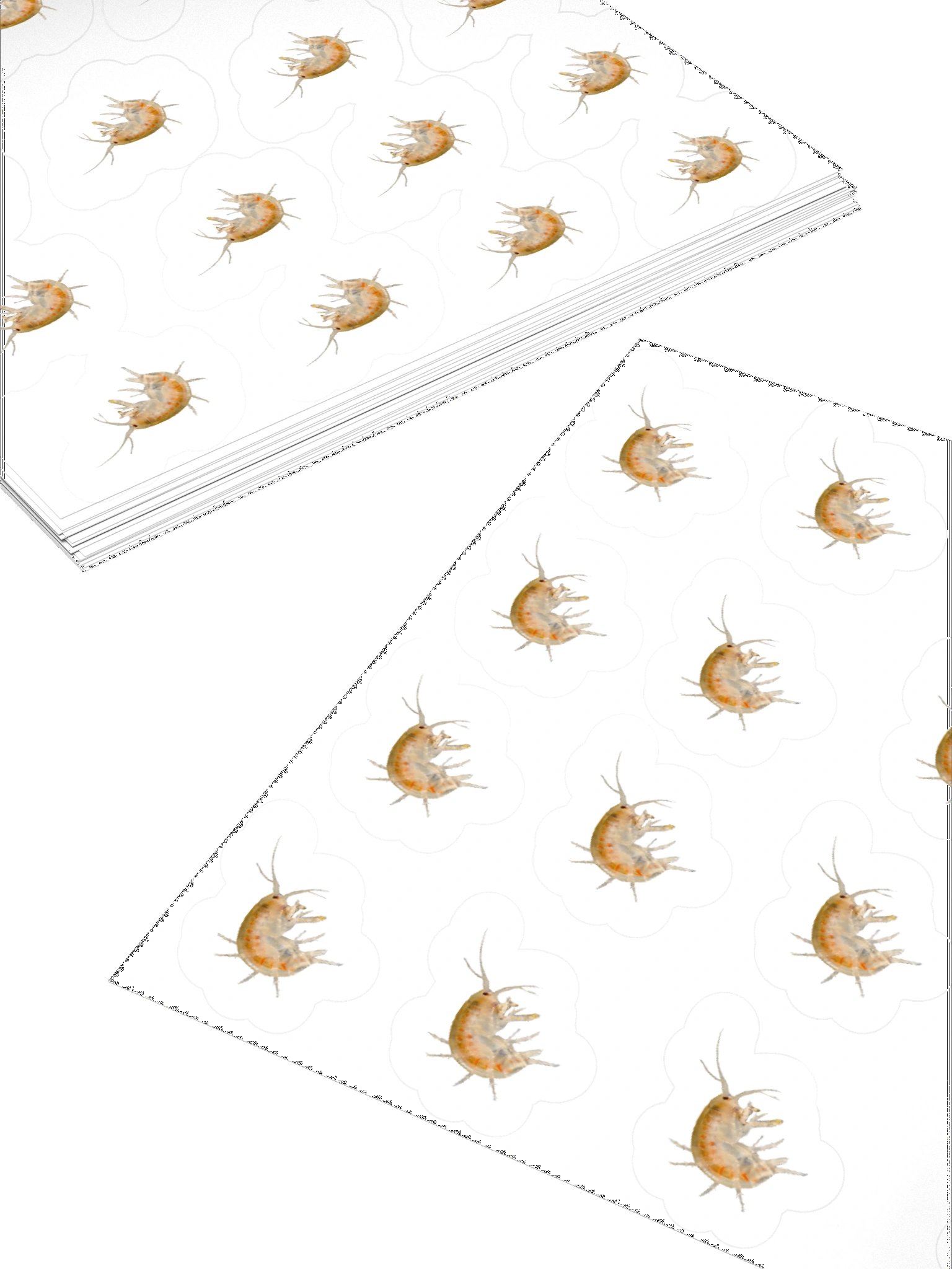 15-20 scruds product image (4)